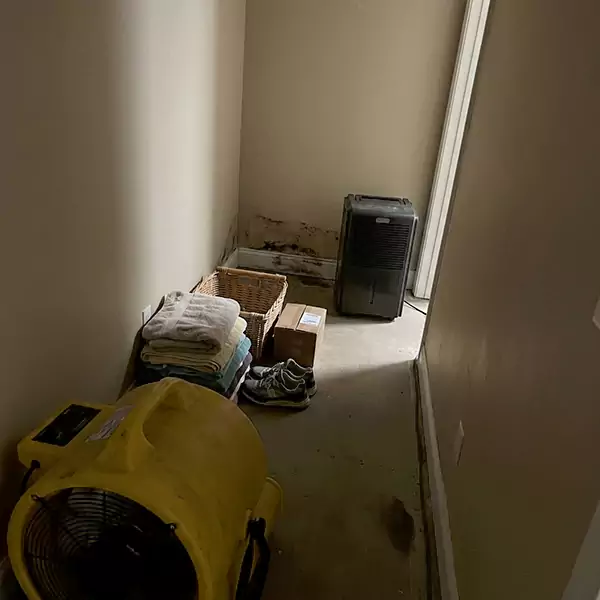 Expert Water Remediation in Weston, FL 