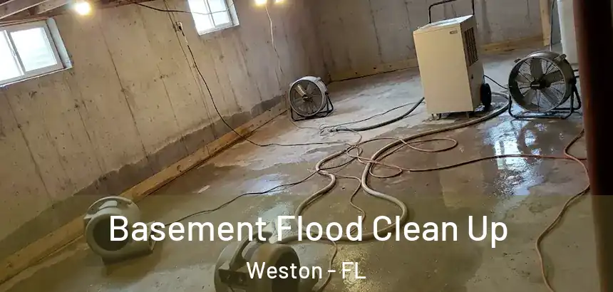 Basement Flood Clean Up Weston - FL
