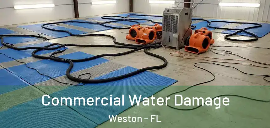 Commercial Water Damage Weston - FL