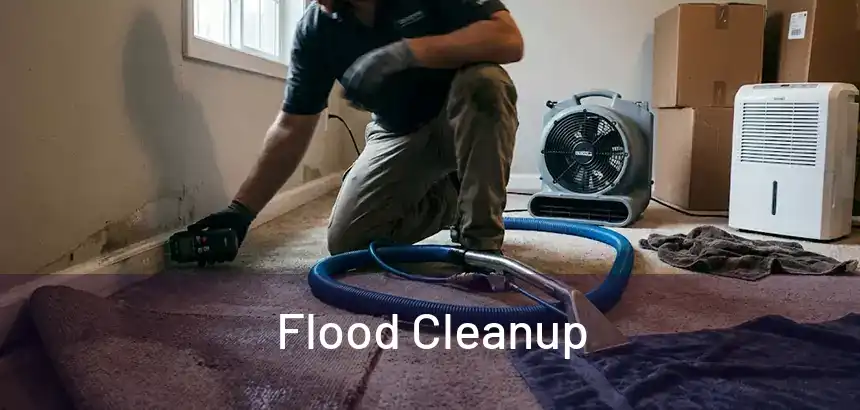  Flood Cleanup 