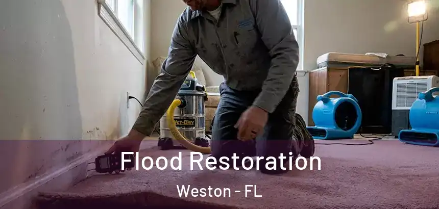  Flood Restoration Weston - FL
