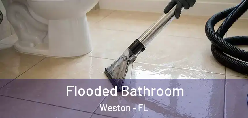 Flooded Bathroom Weston - FL