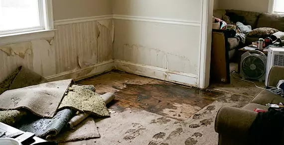 Why Choose Weston Town Restoration For Water Damage Restoration Services in Weston, FL?