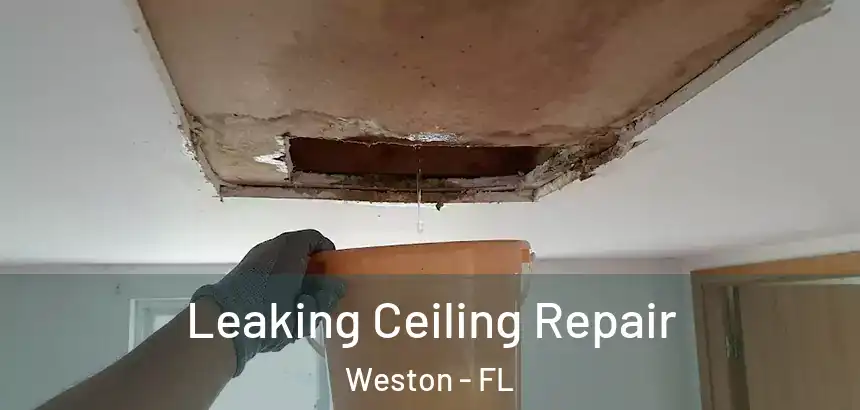  Leaking Ceiling Repair Weston - FL