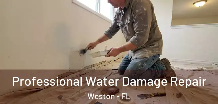  Professional Water Damage Repair Weston - FL