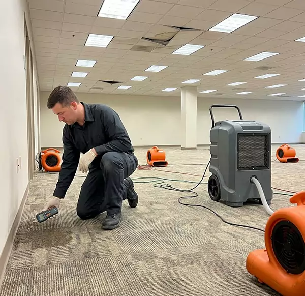 Why Businesses Choose Weston Town Restoration for Commercial Water Damage in Weston, FL?