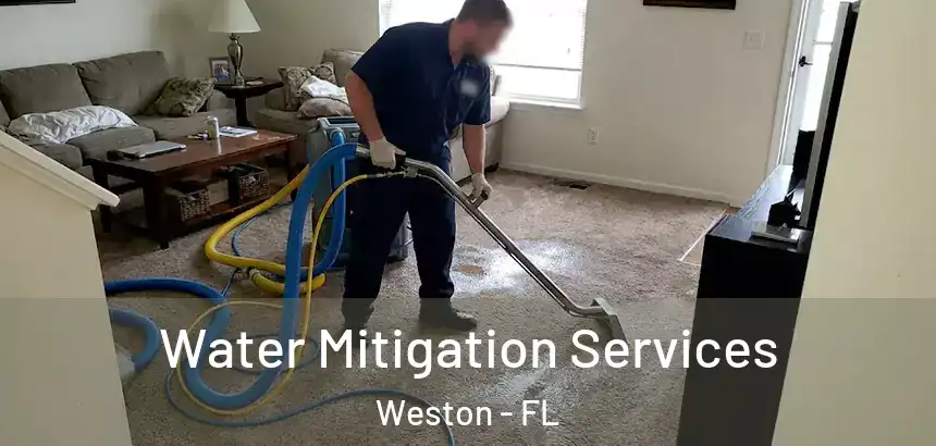  Water Mitigation Services Weston - FL