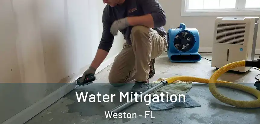 Water Mitigation Weston - FL