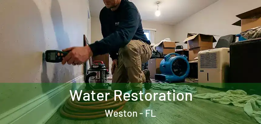  Water Restoration Weston - FL